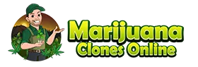 marijuana clones online logo wide