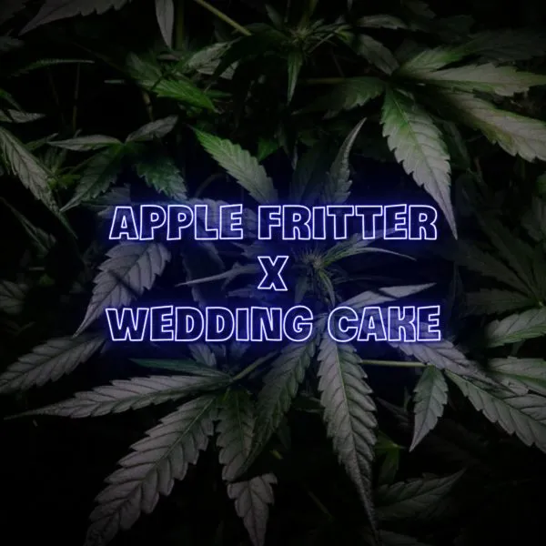 apple fritter wedding cake seeds