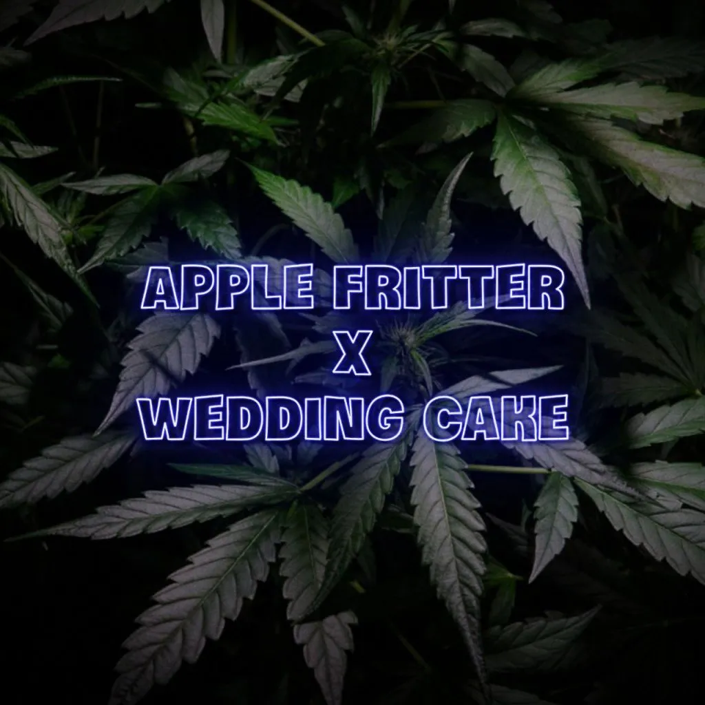 apple fritter seeds x wedding cake