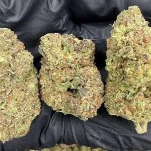 Gelato - High End Dep Plus 27% Hybrid THCa Flower