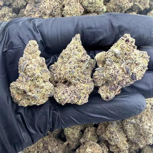 Premium THCa flower quarter pound — California grown