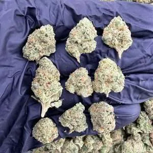 Yazz Candy - Exotic Smalls