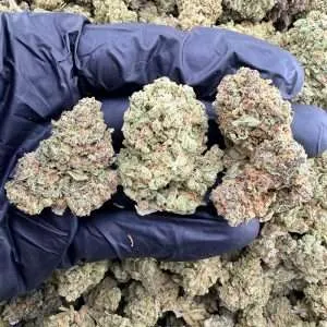 Glue Drop - High End Dep