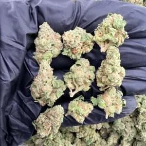 Candy Paint - Exotic Smalls