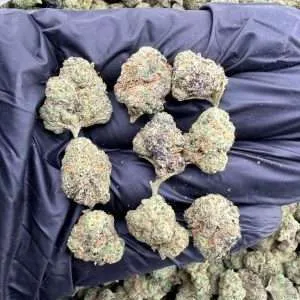 Candy Truffle - Exotic Smalls