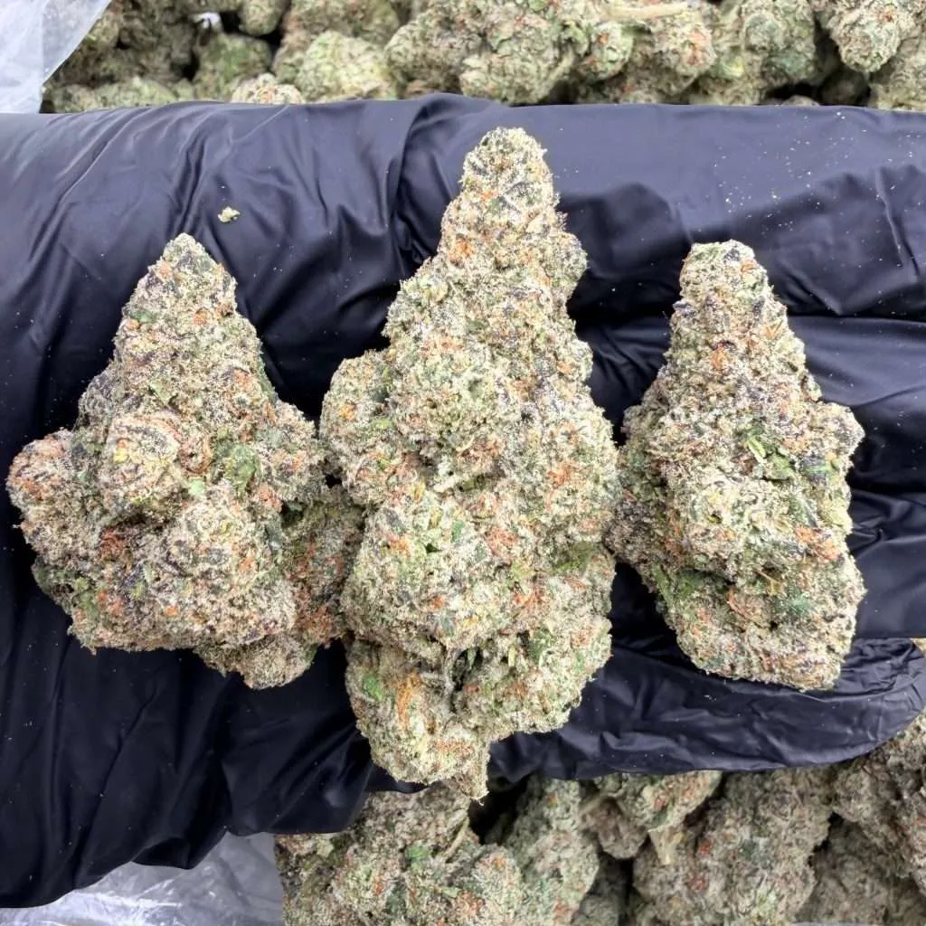 White Walker OG - Exotic