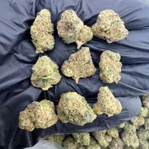 Black Ice - Exotic Smalls