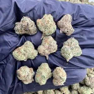 Blue Nerds - Exotic smalls