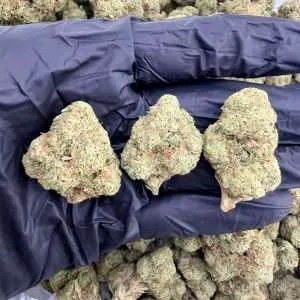 Breadstick OG - High End Dep