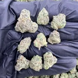 LCG - Exotic smalls