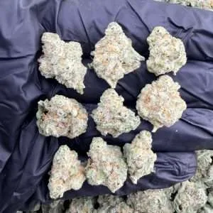 MAC 1 - Organic Exotic Smalls
